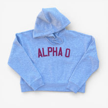 Alpha O Stitched Letter Hoody Sweatshirt